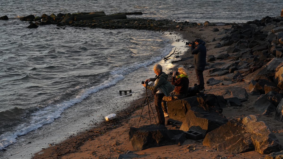 chocotuits's tweet photo. Preguntas frecuentes de nuestro viaje fotográfico a Nueva York. 

¿Puedo ir si no sé mucho de fotografía?
Sí, el viaje está pensado para que todo el mundo vuelva sabiendo más, independientemente del nivel inicial.

¿Puedo ir si no tengo cámara? 
La cámara es recomendable, pero a la primera edición vino una persona que solo traía su teléfono y disfrutó mucho del viaje. Todo lo que enseñamos sobre luz, encuadre, composición, etc. aplica a fotografía con móvil. Y todas las localizaciones que visitamos merecen la pena con o sin cámara.

��Cuánto cuesta el viaje?
1990€

¿Cuándo es? 
Del 17 al 24 de octubre.

¿Por qué finales de octubre?
Es sin duda la mejor fecha para fotografiar Nueva York. 

¿Qué incluye?
- 7 noches en hotel de 3★ con desayuno incluido.
- Desplazamiento aeropuerto - hotel - aeropuerto.
- Entrada al Top of the Rock. 
- Todos los desplazamientos en metro. 
- Dos guías fotográficos contigo desde el amanecer hasta el anochecer llevándote a los mejores rincones de la ciudad y enseñándote todo lo que sabemos de fotografía.
- Enlace de descarga con todas las fotografías que te hagamos allí.

¿Qué no incluye?
Vuelos, comidas, cenas, seguro de viaje, tasa del ESTA.

¿Se comparte habitación?
Sí. Nos alojamos en habitaciones dobles con camas queen size individuales.

¿Puedo ir si no resido en España?
Sí. 

¿Qué tipo de fotografía vamos a hacer?
Paisaje urbano sobre todo, pero también fotografía callejera.

¿Conocéis bien la ciudad?
Yo he vivido allí y he publicado dos gu��as fotográficas de Nueva York. Jon es fotógrafo y guía profesional y conoce la ciudad como la palma de su mano.

¿Se visitan los sitios típicos?
Nuestro recorrido combina localizaciones icónicas con sitios poco conocidos en los que no vas a ver a ningún turista.

¿Se anda mucho?
Sí, unos 20 km diarios. Solo tenemos una semana y hay que aprovecharla al máximo. 

¿Puedo ir unos días antes o quedarme unos días después?
Sí, mucha gente lo hace.

¿Qué tengo que hacer para apuntarme o para obtener más información?
Escríbeme por privado :)

Algunas fotos del grupo con el que viajamos el año pasado ❤️