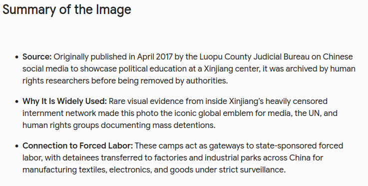 mrbcyber's tweet photo. A significant number of CCP supporters are attacking this post.  So, I had Gemini AI summarize information about the image

China is a police state and it is incredibly difficult to get info out. The image in the post is of a re-education camp, used as a gateway to forced labor https://t.co/bdcbhiMnNy