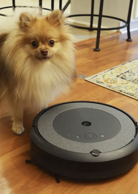 drahmetrasim's tweet photo. ABD' nin yasakladığı bu robot süpürgelerin tehlikesi ne? 
Robot süpürgeler evin haritasını çıkarıyor, kamera/sensörleri var, Wi-Fi’ye bağlı ve uzaktan kontrol edilebiliyor. Geçmişte bazı Çin yapımı modellerde güvenlik açıkları bulunmuştu (örneğin binlerce cihazın uzaktan ele geçirilmesi). Ayrıca tedarik zinciri Çin’e bağımlı olduğu için risk görülüyor.