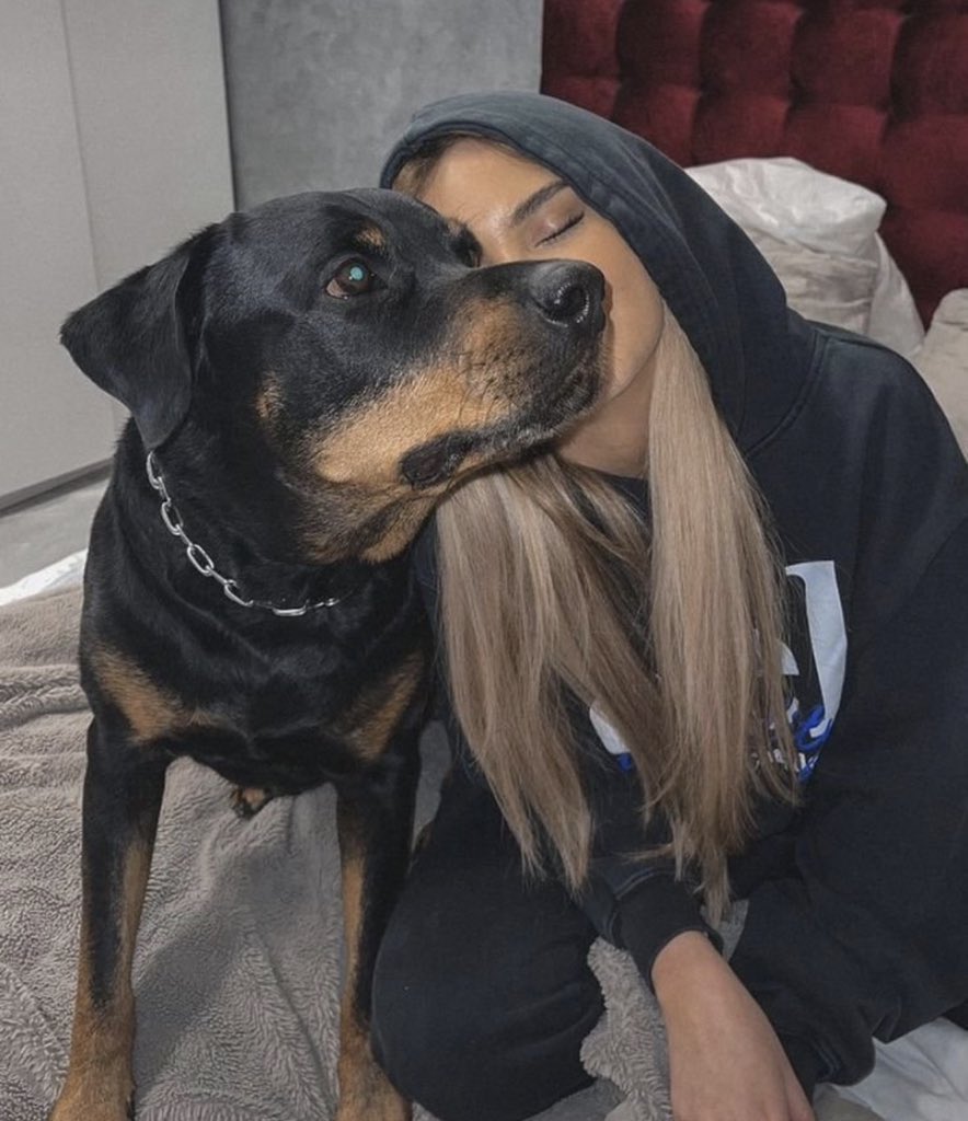 dogknotingbitc's tweet photo. I'm now in my dog mother era
Link in my bio ❤️🐶🍆🍑💦
#USA2026Best
#paobc #twitterpetsThe
#knotting #dogloving #bestk9 #hotk9
#9thOLCwomen #furry #dogmom #k9girls
#docknot #usa https://t.co/9jbZU53x2e