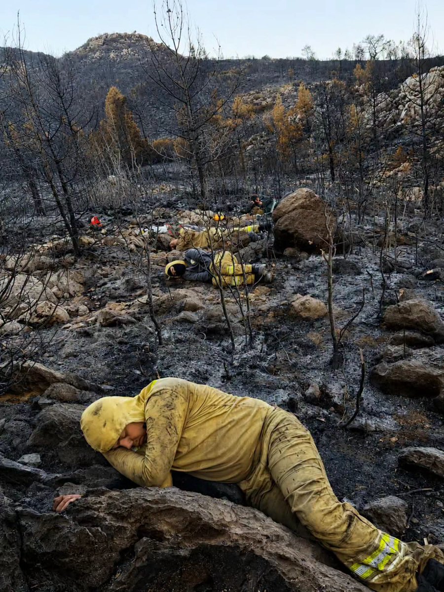 AliSere20's tweet photo. Yorgun bedenler ve büyük bir fedakarlık 😥🔥🌲
MİNNETTARIZ 👏🇹🇷 https://t.co/gLeXtZkV2V