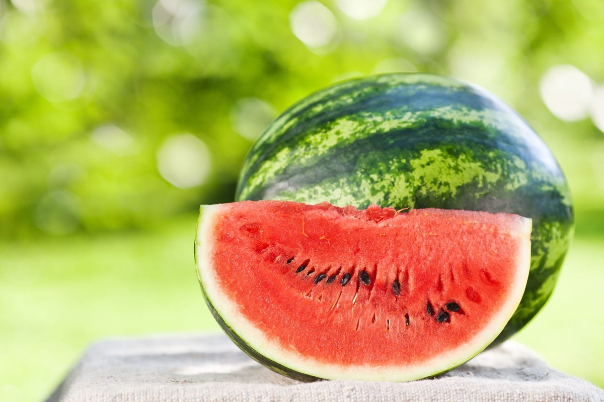 CerfiaFR's tweet photo. 🍉 Aujourd’hui, c’est la journée de la pastèque. L’opinion du CM : c’est le meilleur fruit pour l’été. ☀️ https://t.co/agjzyZBEYM
