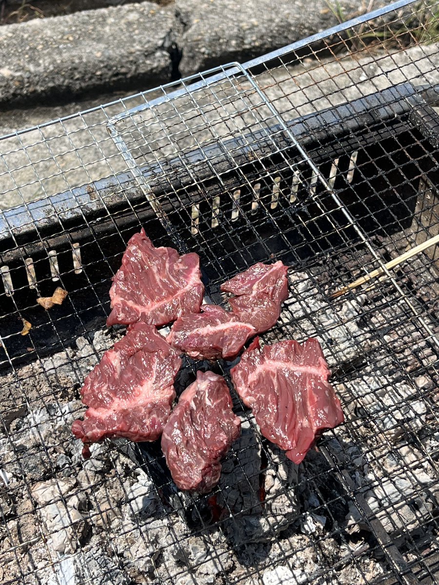 rabbithouse14's tweet photo. 昨日もよく飲み、よく食べ
よく遊びました🥰
ウェイクボードなんと今回は立てたぞ😆
ま、ちょっと進んで波に取られてすぐ転びましたが、日々成長(=´∀｀)てことで

おはようございます🐰☀️
今週乗り切れば連休㊗️
今日も1日元気に٩( 'ω' )وﾗﾋﾞ https://t.co/BPuIxAEnKL