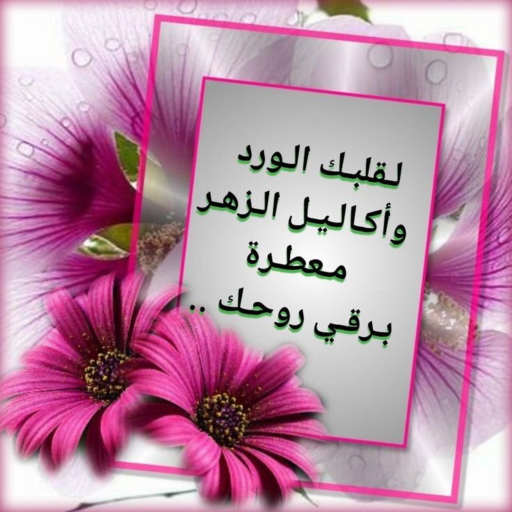 MrAbdullah2030's tweet photo. @AlshykhlyS34742 الله يسعدك ويسعد مسائك بكل خير وسعاده دائمه يارب https://t.co/QJc9ppmFkr