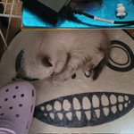 Photo by Lita (@Mitsunba)