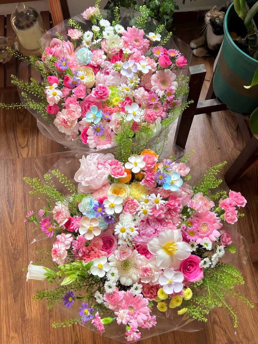 silenttearthh's tweet photo. prettiest bouquet flowers https://t.co/xkldjeVDKC