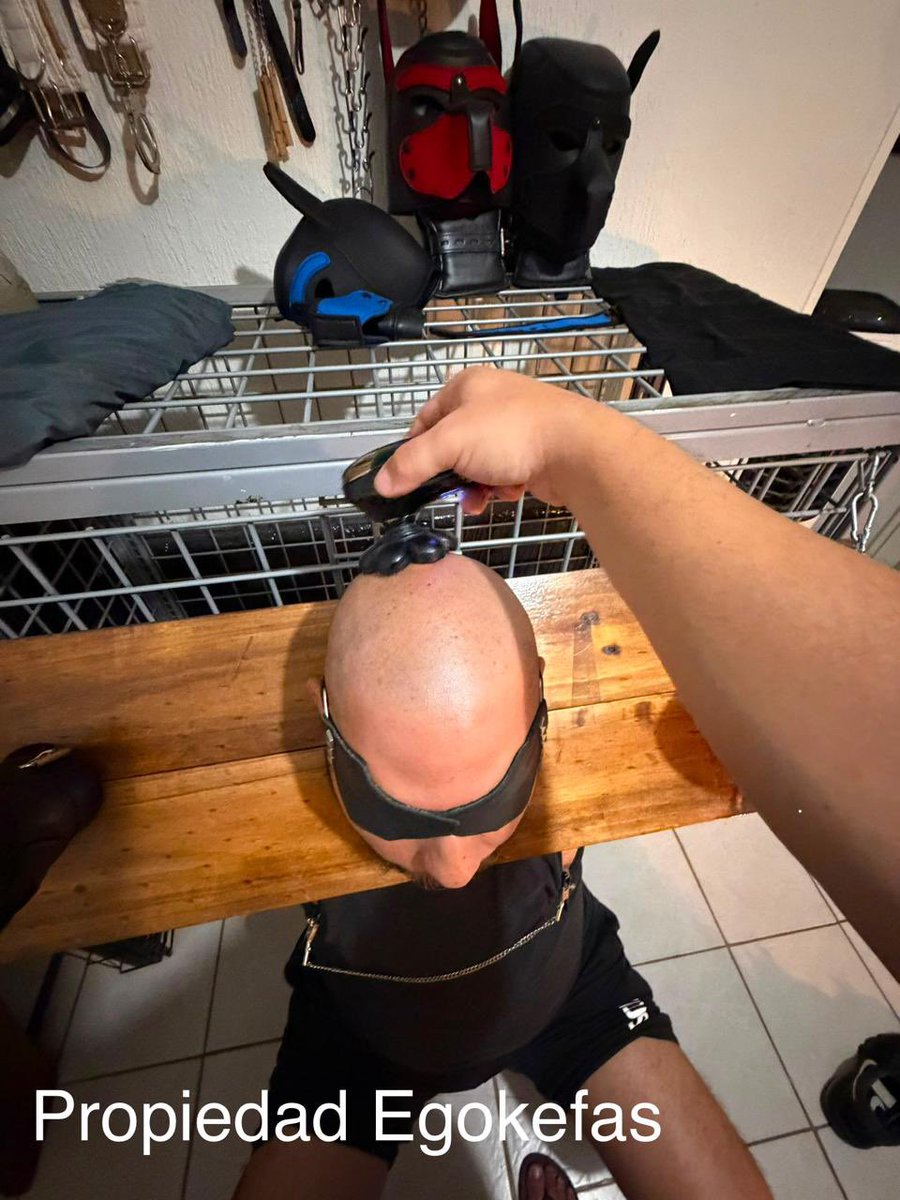 Egokefas's tweet photo. Nunca está demás en afectarles la cabeza para que sepan y reconozcan cuál es su lugar, o no es verdad @DannyTRSLP https://t.co/srJUSJXAd1