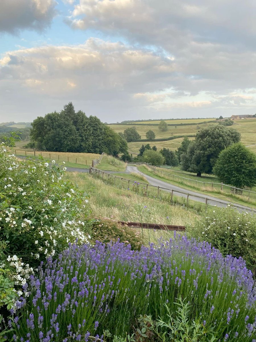naturehealyou's tweet photo. England Countryside https://t.co/wcun43ne80