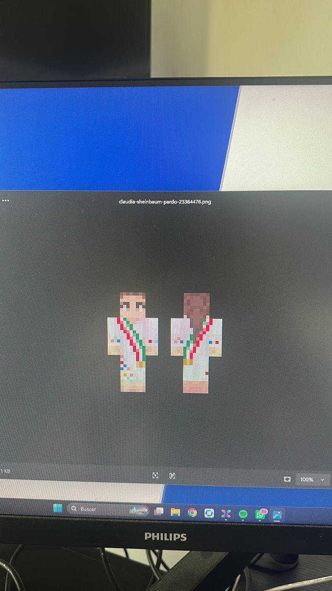 codigorodezel's tweet photo. estoy limpiando mi pc, por qué tengo una skin de minecraft de la presidenta de méxico guardada??? https://t.co/jjJbTfcskA