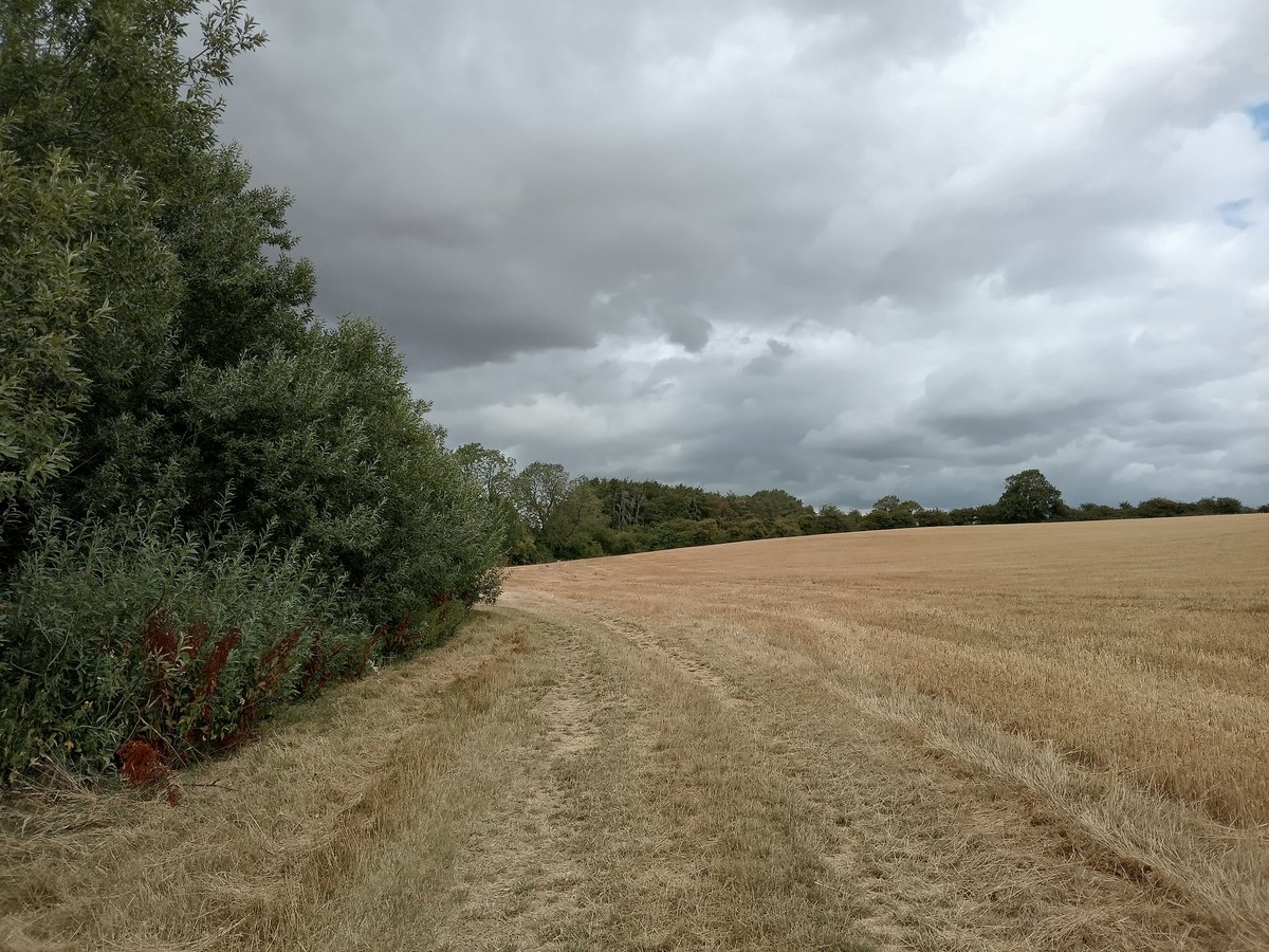 phil0073's tweet photo. #CrossWay in #summer with darkening #clouds. #FaxtonFields #Northamptonshire .#PhilOnaBike #MondayMeander #FridayFields #FootpathFriday #BywayFriday https://t.co/10PaRlszCz