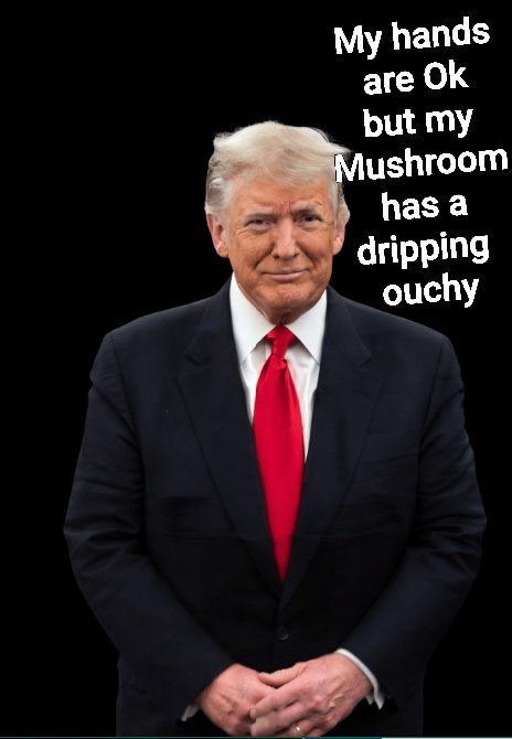 Keithph51198130's tweet photo. @mcucolo57 Ahhh 
Really fearless?

A 5 time draft dodger coward?

Convicted felon?

Aledgeded pedo

Pathological Liar https://t.co/Z7McLev7YR