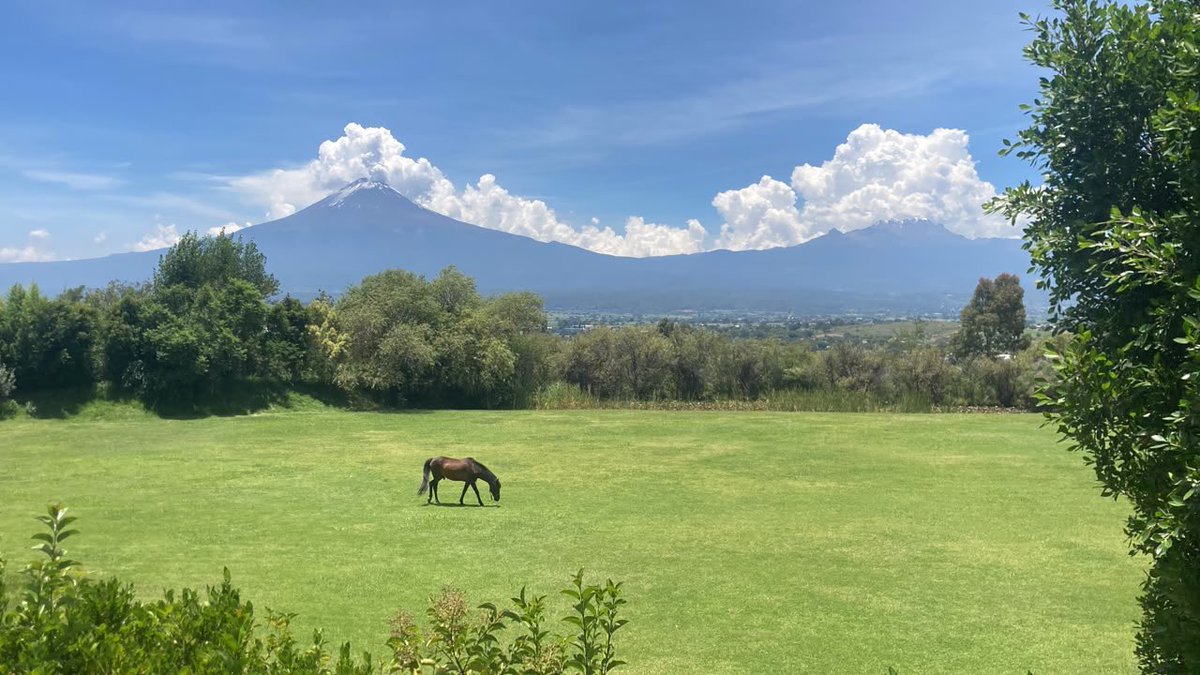 magiamastretta's tweet photo. Un beso para Verónica, mi hermana. Miren qué belleza de paisaje. https://t.co/ZR1otfDsFD