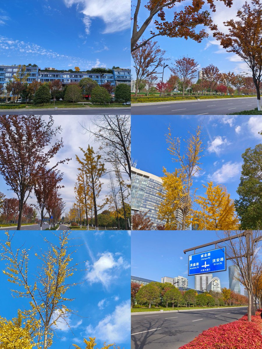 RosalindaGji's tweet photo. Another sunny autumn morning  Sipping warm coffee while golden leaves flutter by—perfect cozy start to the weekend! https://t.co/OXpULbfpc1
