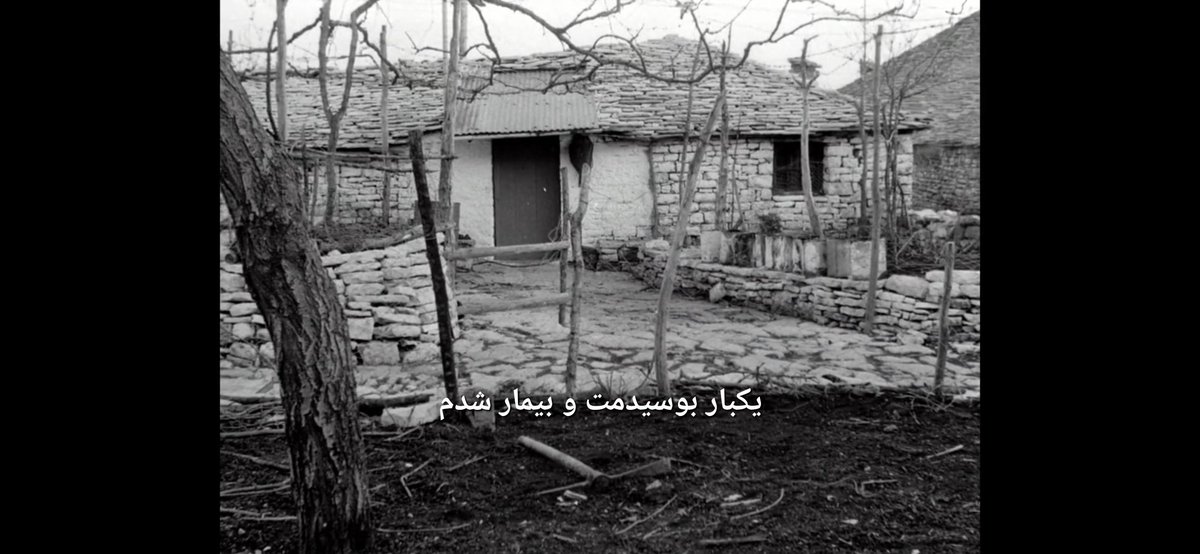 سرگردان tweet media