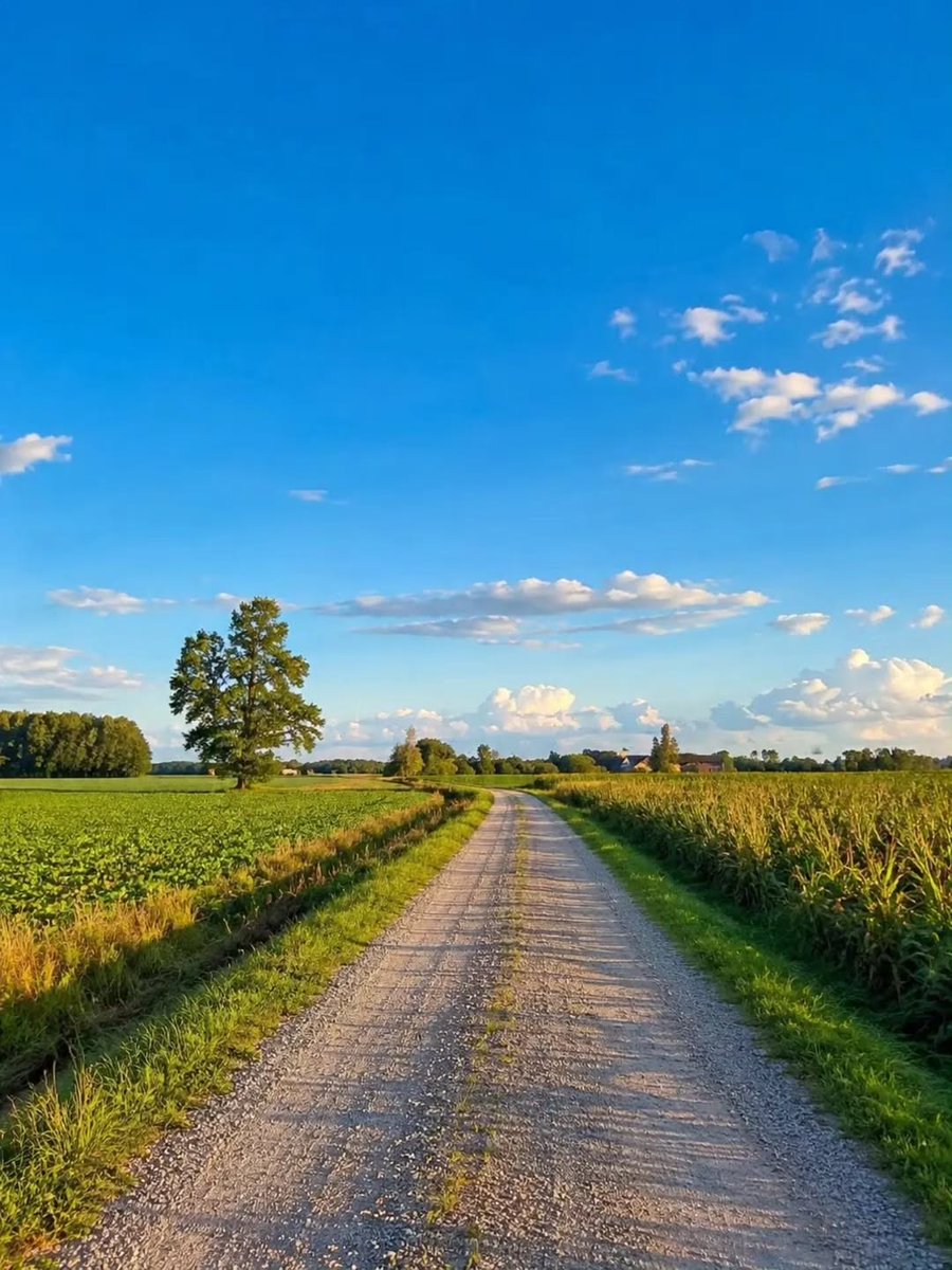 naturehealyou's tweet photo. fresh air, clear mind https://t.co/8OViejSoDU
