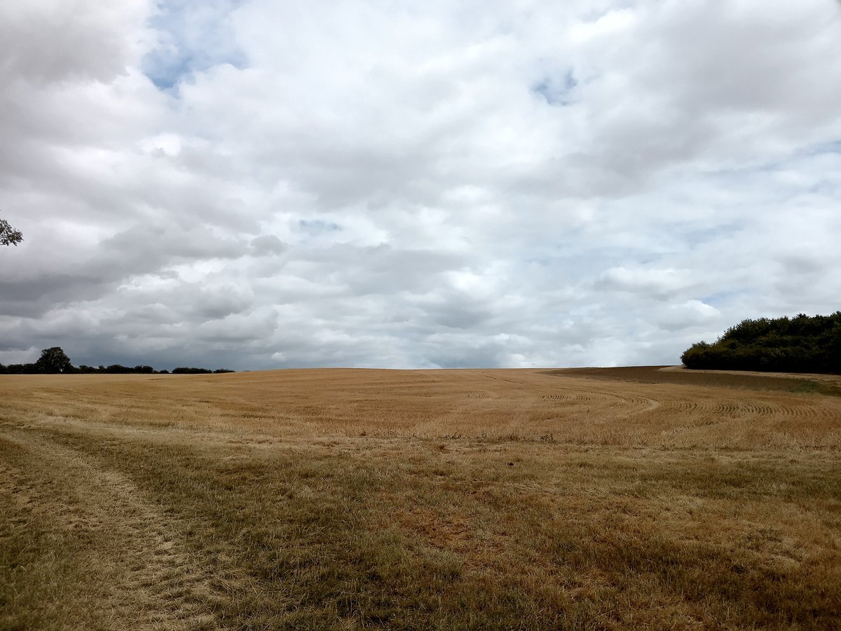 phil0073's tweet photo. #CrossWay in #FaxtonFields , once an ancient road ran through this field from #Faxton = #Lamport2Faxton (an old route)aka #Ryehill2faxton . #PhilOnaBike #MondayMeander #FridayFields #BywayFriday #FootpathFriday #clouds https://t.co/jRfXcaPJsT