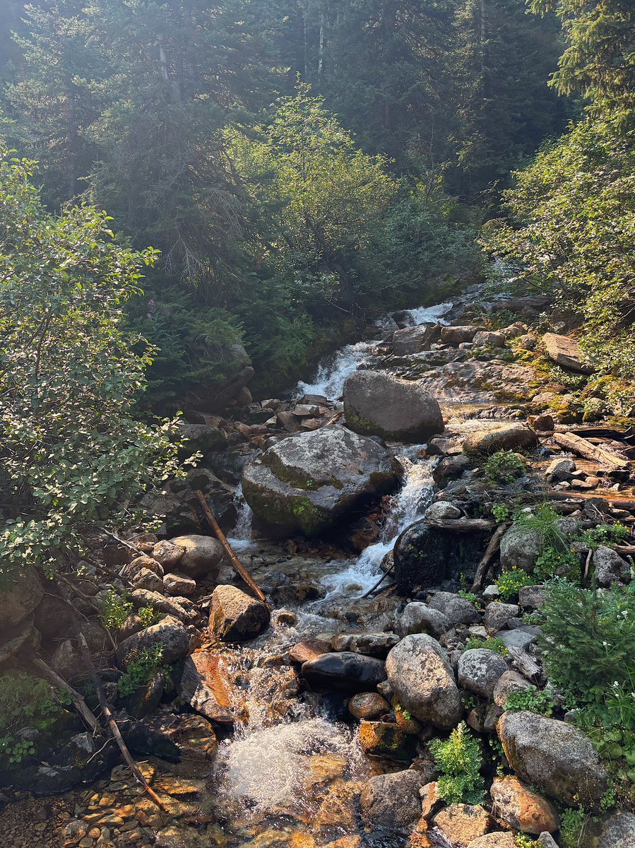 kalebcharrison's tweet photo. took the scenic route and didn’t complain once

#utahhikes #gloriafalls #natureaesthetic #lifestylecontent #fyp https://t.co/AkqgEw7wKX