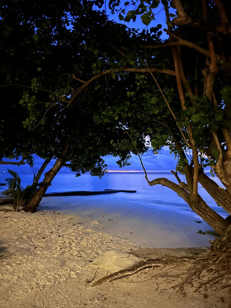 naturehealyou's tweet photo. I love this vibe https://t.co/2dfL1Htcp1
