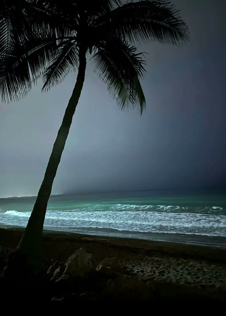 naturehealyou's tweet photo. I love this vibe https://t.co/2dfL1Htcp1