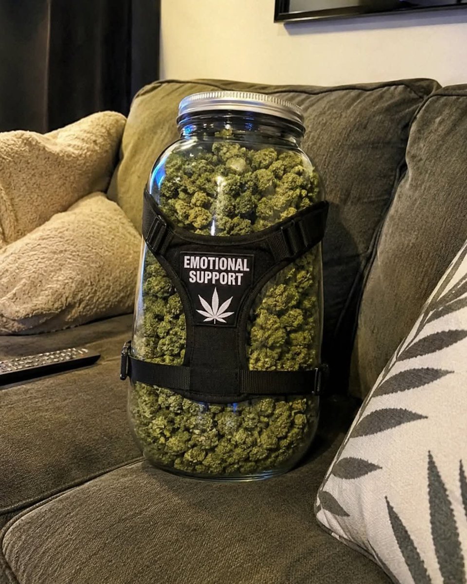 EVAuthoHub's tweet photo. San Francisco
Mission District weed, SoMa weed, Castro weed, Haight-Ashbury weed, Nob Hill weed, Pacific Heights weed, Marina District weed, North Beach weed, Chinatown weed, Richmond District weed, Sunset District weed, Financial District weed.#rakównax https://t.co/LRqLxeQeN1