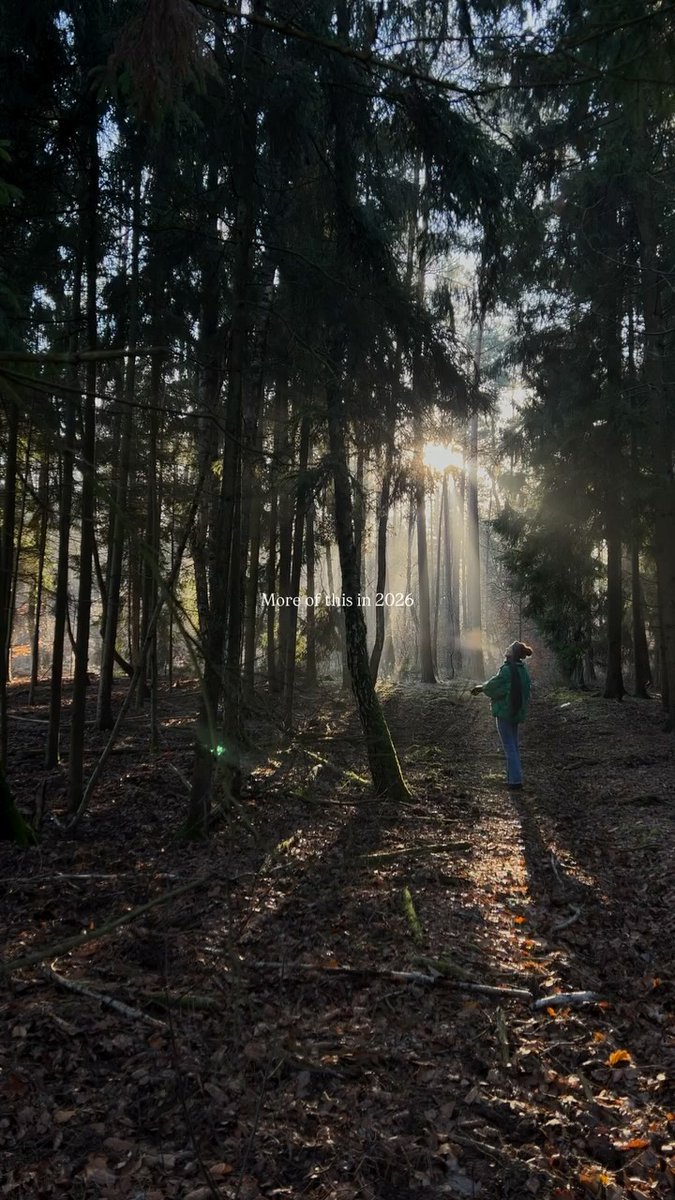 cosymarli's tweet photo. A calm evening in the countryside with some warm sunlight 🌞

#countrysidelife #slowliving #calmness https://t.co/50RuHX5Cva