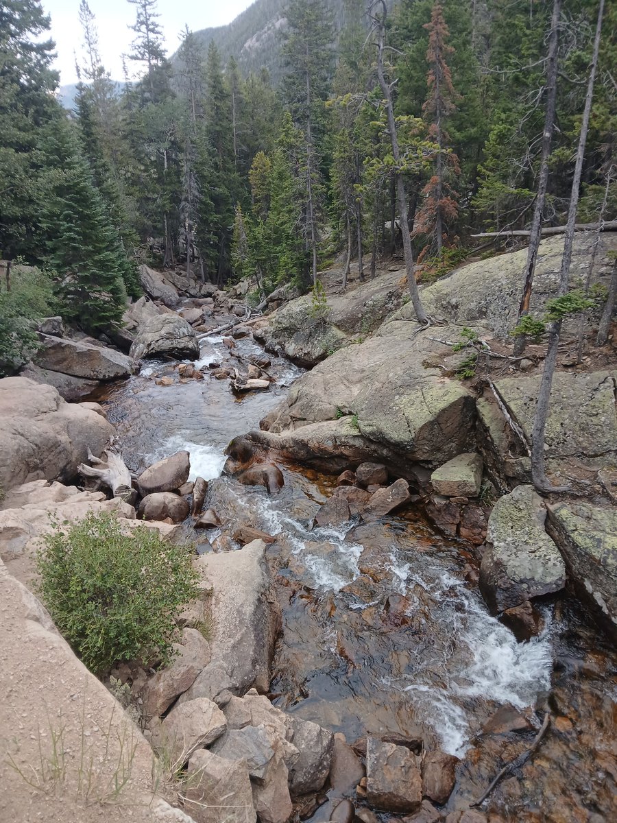 wineandhistory's tweet photo. On the return trip in Rocky Mountain NP, we went up the Old Fall River Road, the original road to the alpine area of the park, built between 1913 & 1920. It is unpaved, one way w/ switchbacks. Chasm Falls was beautiful! #NationalParks #scenicdrive #waterfall #OldFallRiverRoad https://t.co/E3YBFNBSdv