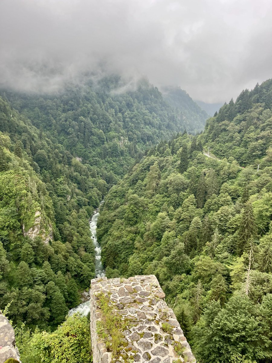 tgbbbkaro's tweet photo. istek değil ihtiyaçtı, gereğini yaptım🌱🌲🍃

#rize https://t.co/hR03a4Qcbc