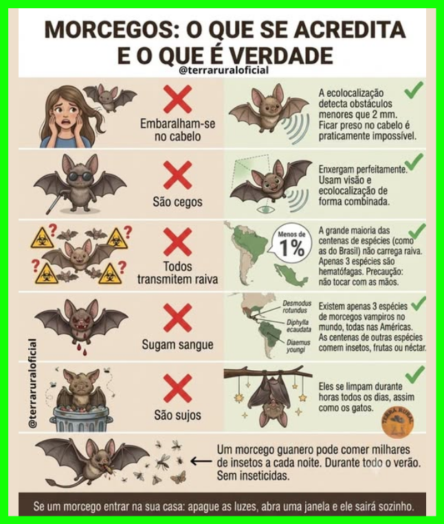 ClaudioGass's tweet photo. https://t.co/CRNpPZixCL