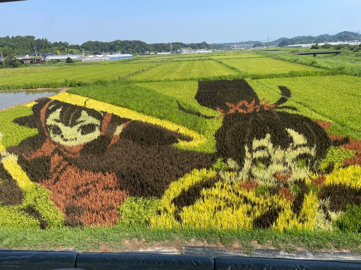 route122bypass's tweet photo. #献血　36回目

ポストカードは菊川の田んぼアート会場で入手

#天穂のサクナヒメ とコラボしてるみたい https://t.co/Xja7UlLJzQ