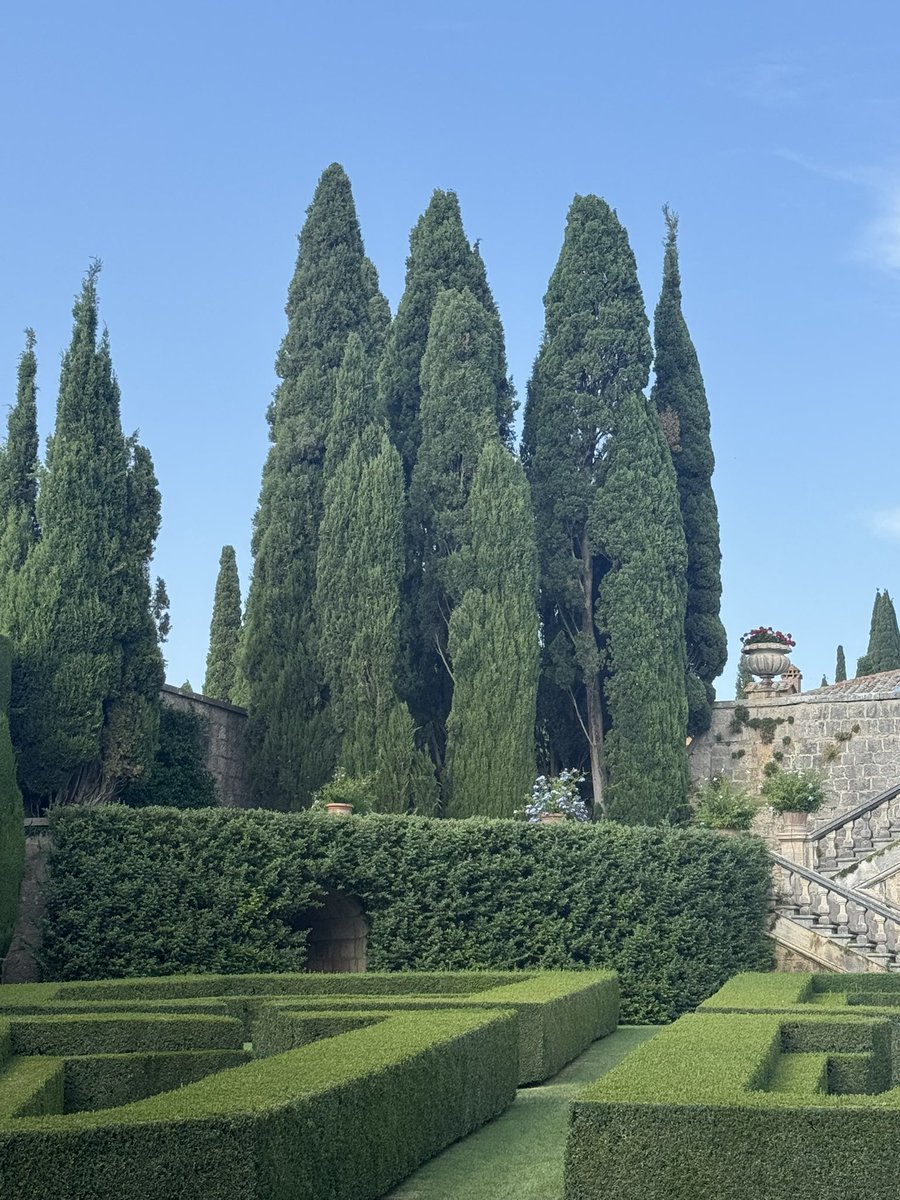 FrancescoC's tweet photo. Golden light, rolling hills, and timeless beauty—Tuscany at its finest. 🌿✨ #Tuscany #LaFoce #ValdOrcia #VisitTuscany #ItalianLandscapes https://t.co/gTruUsej8N