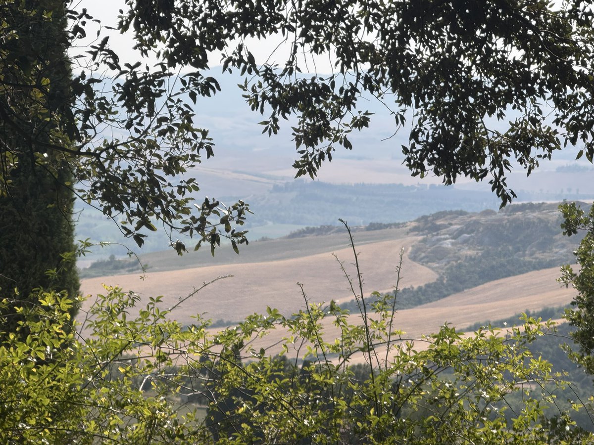 FrancescoC's tweet photo. Golden light, rolling hills, and timeless beauty—Tuscany at its finest. 🌿✨ #Tuscany #LaFoce #ValdOrcia #VisitTuscany #ItalianLandscapes https://t.co/gTruUsej8N