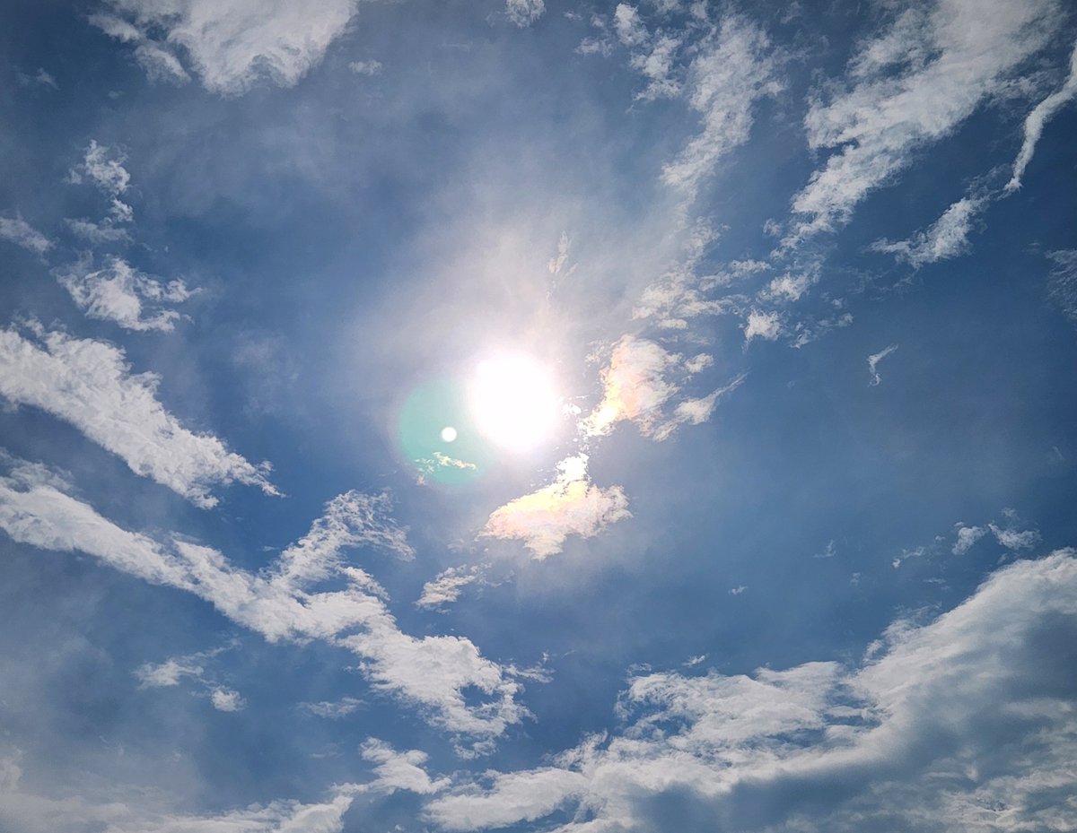 maneiro0312's tweet photo. おはよ♡月曜日さん   8/3   😌˚·༊ https://t.co/PLGMyUlyqA
