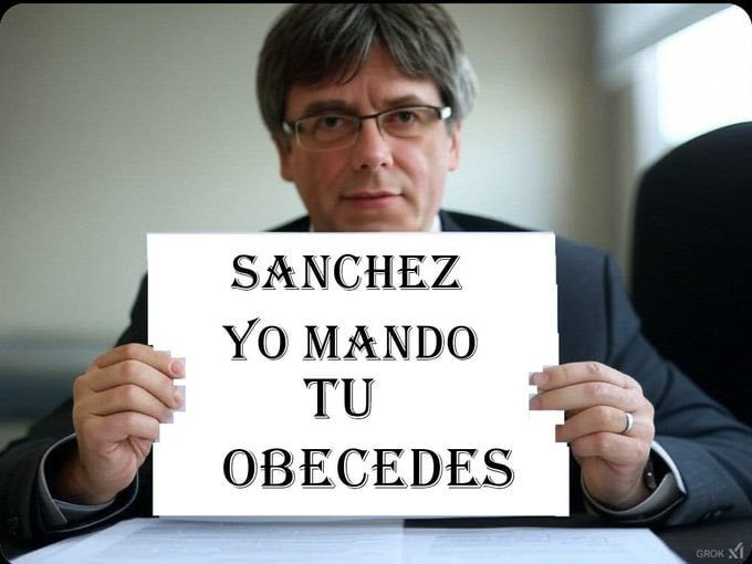 MsdVcf19748's tweet photo. @psoeBenimaclet @sanchezcastejon Solo recordaros que las últimas elecciones las perdisteis, si estáis gobernando es gracias que 🐕 Sánchez alias "HDP" vendió España a terroristas y separatistas. De nada. https://t.co/Giqnbht591