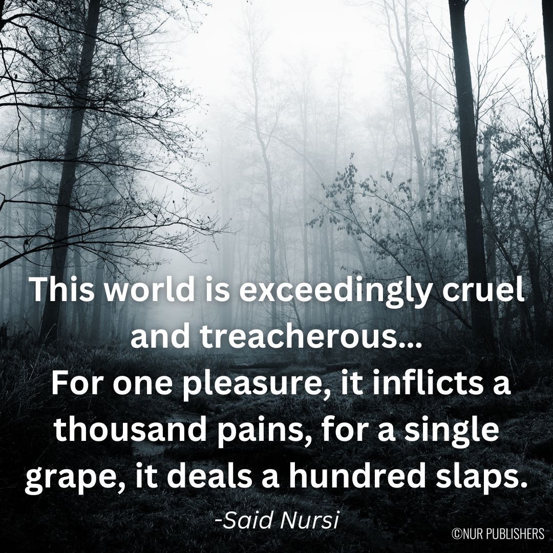usa_nur's tweet photo. "This world is exceedingly cruel and treacherous...For one pleasure, it inflicts a thousand pains, for a single grape, it deals a hundred slaps." -Said Nursi https://t.co/4CJv1H7lC6