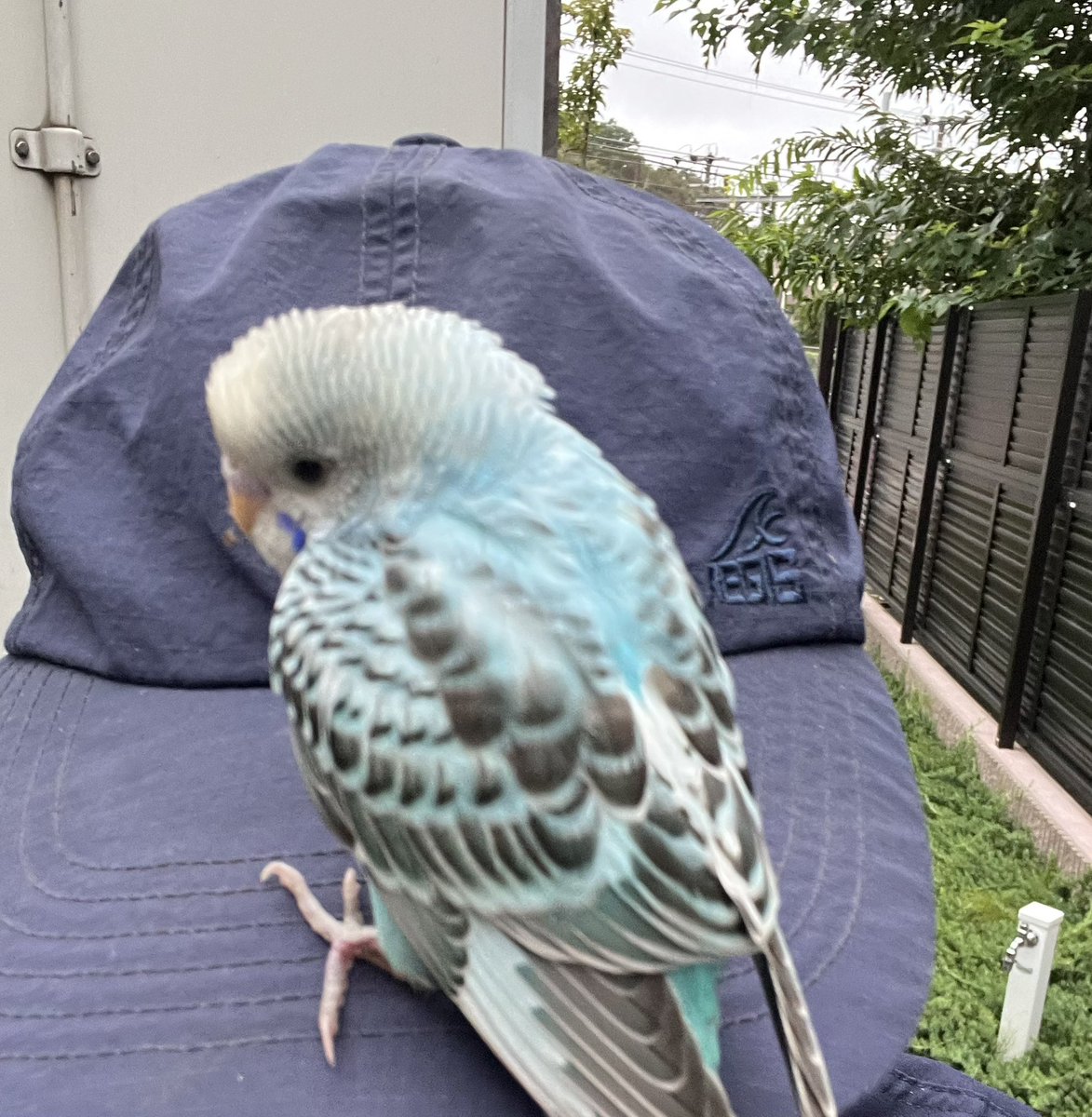 たけぞぉ tweet media