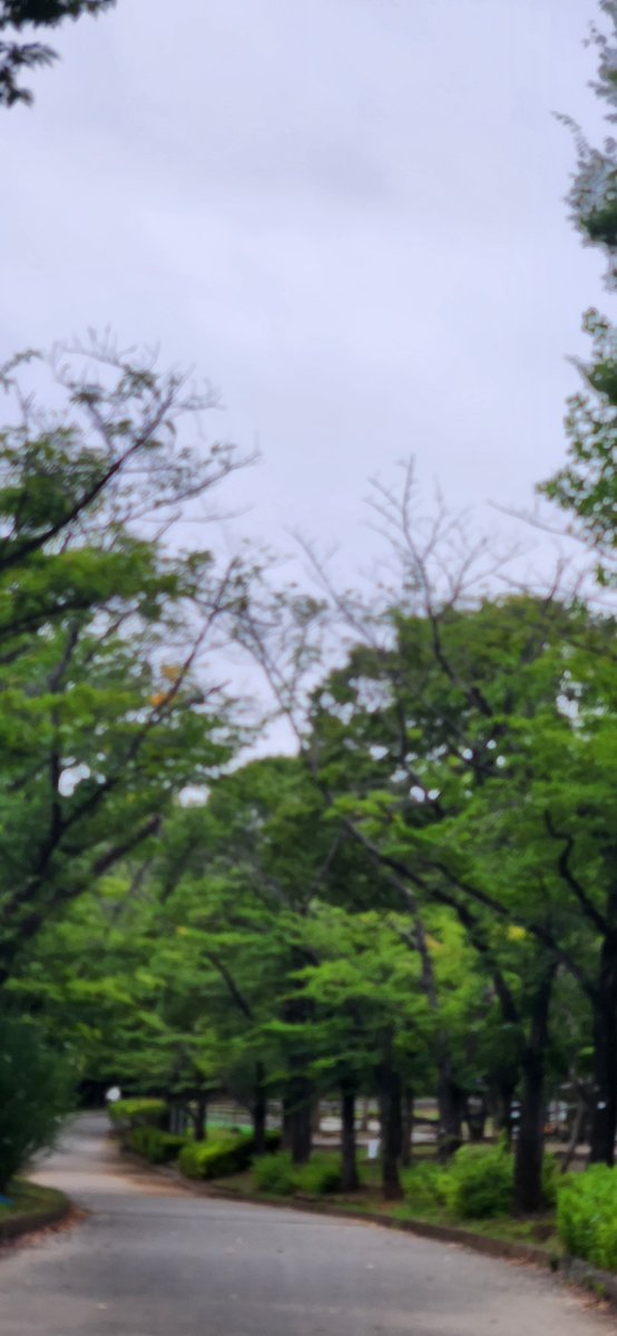 mmieprokobiti07's tweet photo. #いまそら
#イマソラ
今日はくもり���️
最高気温は27度です
今日はハチミツの日です
今日のお勧めは #4年2組 の #Shakeit‼です
https://t.co/Lj3MXBzyR2 https://t.co/tnKPpMIhHN