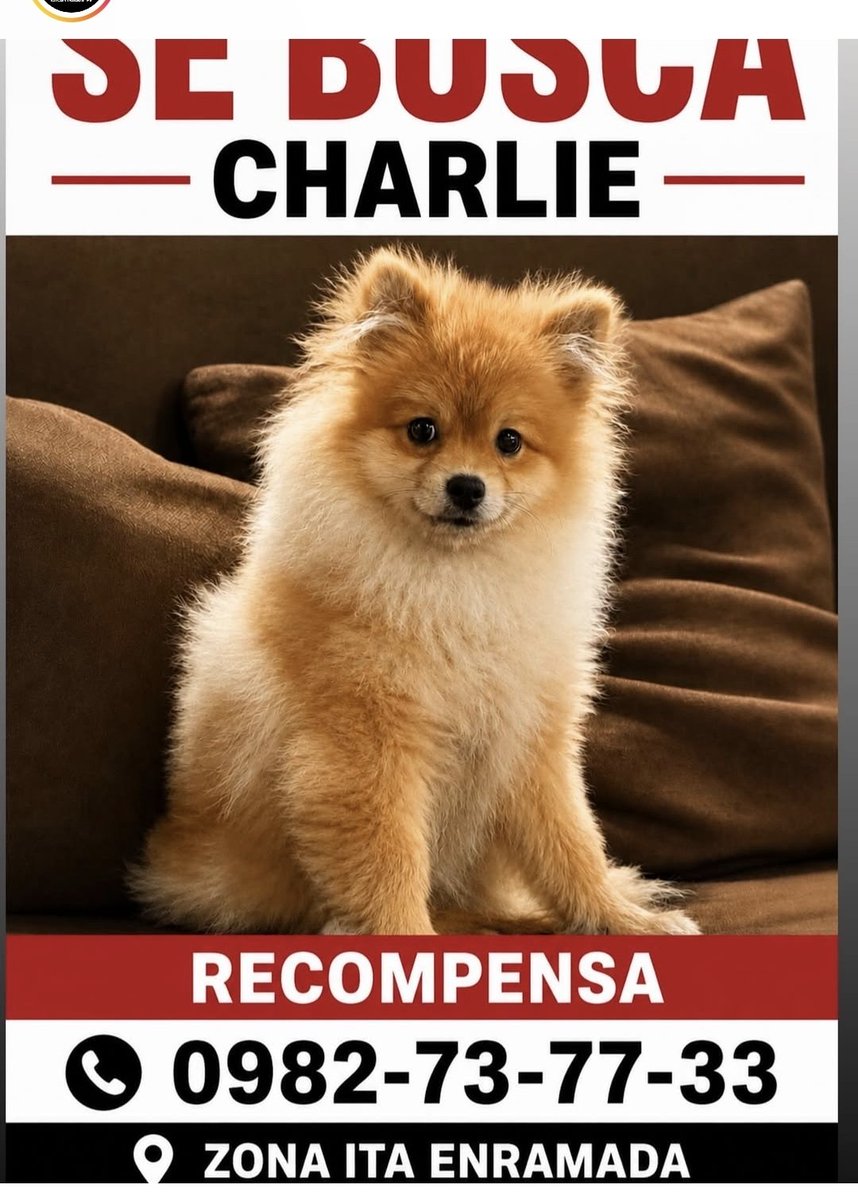 mariannojeda's tweet photo. Atención Ita Enramada, si le viste por favor avisa a su Familia.  Se agradece compartir https://t.co/r4scloXynD