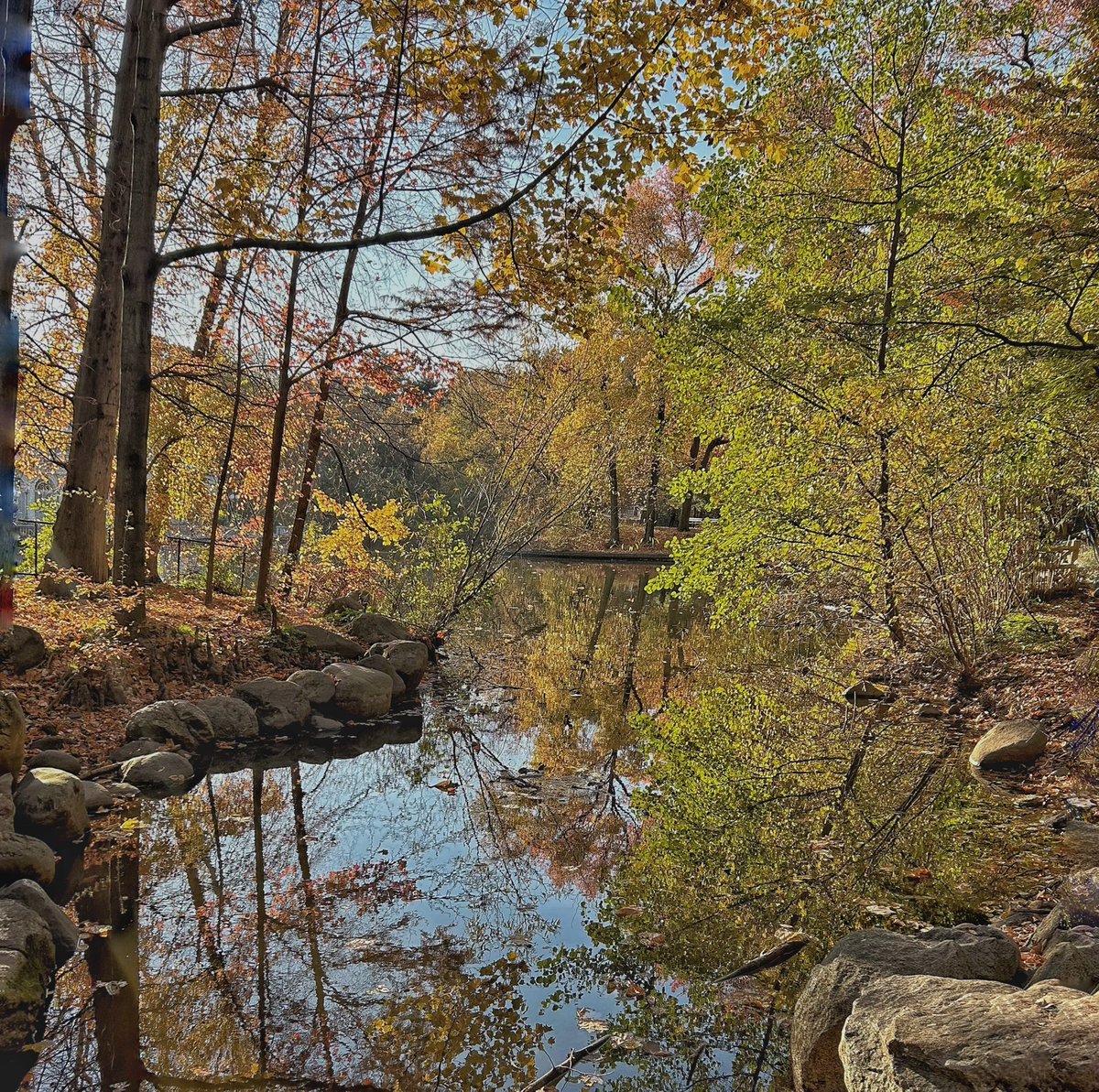 timvarian's tweet photo. #prospectpark #brooklyn #newyorkcity #fallcolors #naturelovers #NatureFacts #photooftheday #naturephotography #newyorkstateofmind #brooklynphotography https://t.co/fG3FnDIxSn