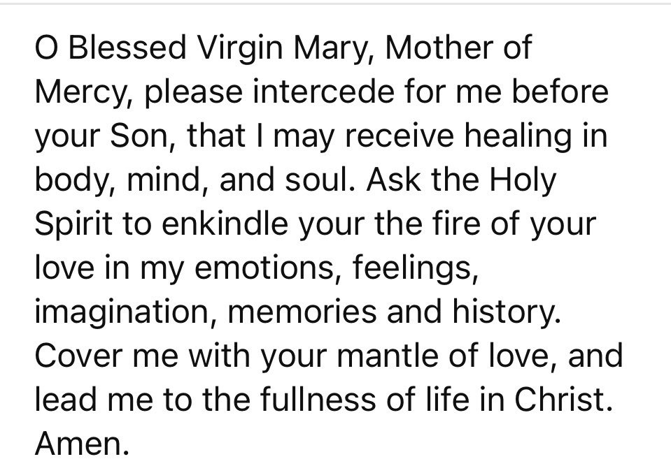 Jany4getmenot's tweet photo. Prayer to the Blessed Virgin Mary🌺 https://t.co/l4IPJ4Wq7l