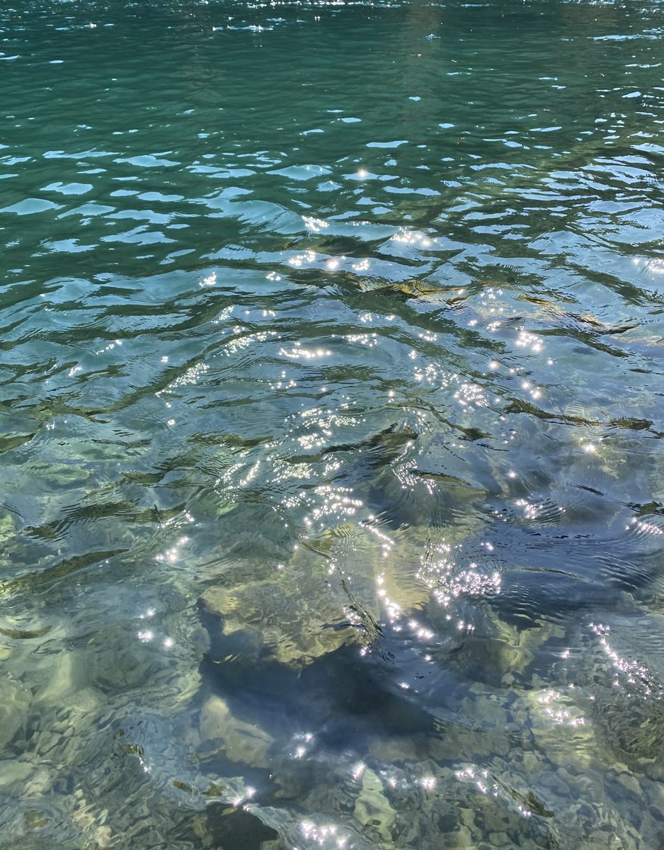 greenvibe's tweet photo. where the water turns into a thousand tiny mirrors. https://t.co/L3JJ7UzTNL