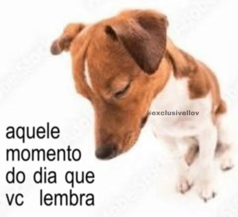 shitpostverdade's tweet photo. https://t.co/LhRLGA1dPW