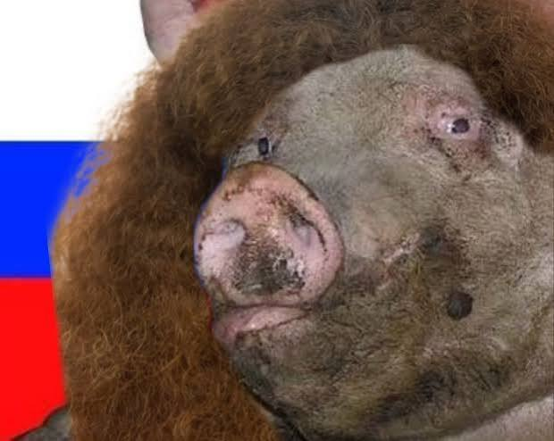 Sume_y4's tweet photo. @vesstnik Рыжая 🐷 латынина, видимо, не поместилась в кадр https://t.co/zkmeVWzatD