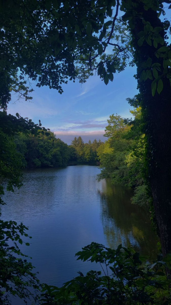 greenvibe's tweet photo. A hidden view that feels like a deep breath for the soul. https://t.co/6xX2O1wjPb
