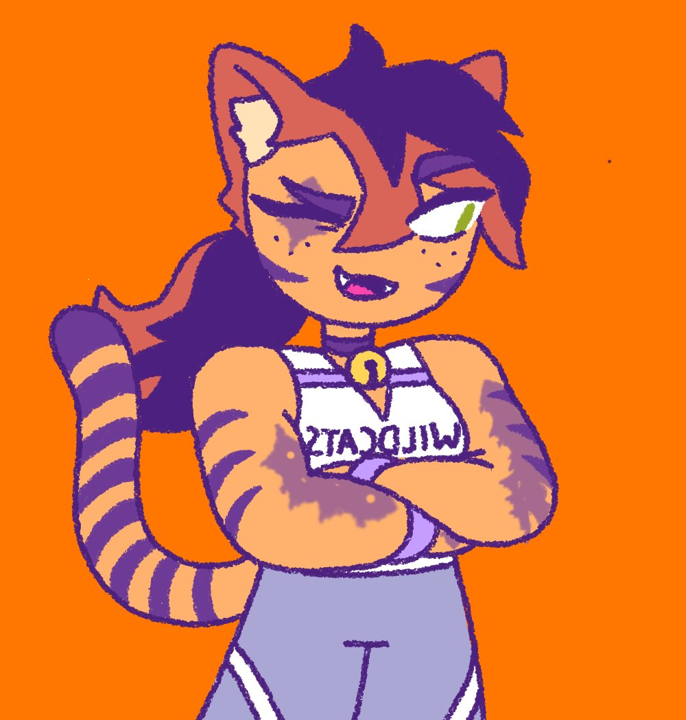 RoughCatPlaying's tweet photo. ... Do I even wanna ask? https://t.co/N4titrGTey