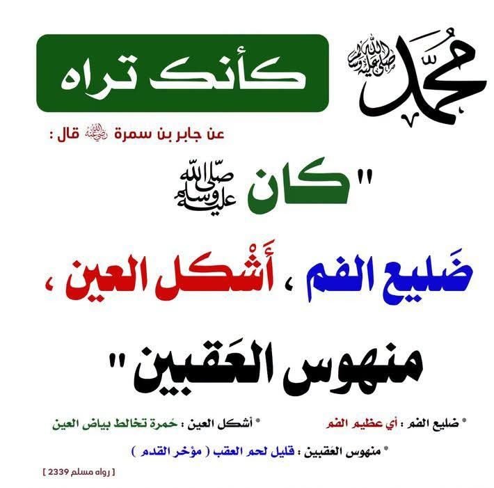 m_7d_7's tweet photo. عليه الصلاة والسلام https://t.co/QE1QmmTRNu