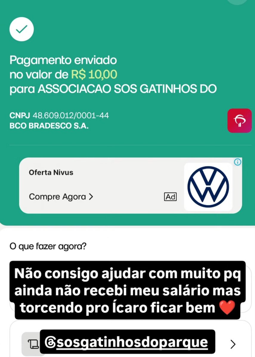anadelemon's tweet photo. Passando para incentivar vocês a me ajudarem e ajudarem a Ong SOS Gatinhos do Parque (Municipal de BH), mais um gato foi resgatado em estado grave após maus tratos.
Eu não consigo doar muito no momento, então tô divulgando pra ver se mais pessoas ajudam! https://t.co/Wi5cOwaTwQ