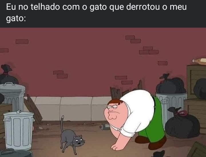 shitpostverdade's tweet photo. https://t.co/Vj9BeeKJWy