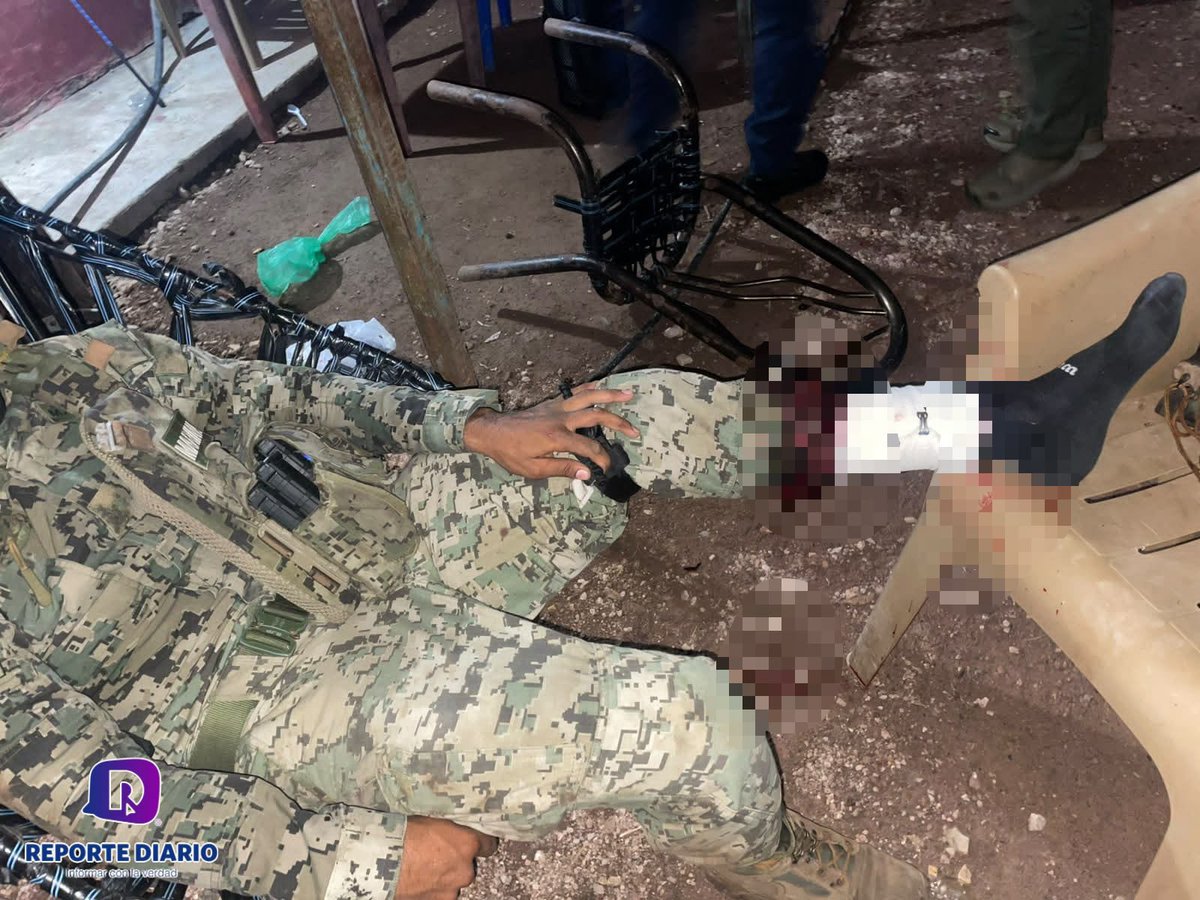 reportediariopv's tweet photo. MARINO RESULTA HERIDO TRAS AGRESIÓN ARMADA EN LA SIERRA DE BAHÍA DE BANDERAS
Operativo conjunto en Aguamilpa
Fiscalía investiga lo ocurrido
Leer nota: https://t.co/tyEL2iX9wJ
Redacción: César Langarica
#Marina #PuertoVallarta #bahiadebanderas #HOY #Reporte https://t.co/dw6pJuGIFP