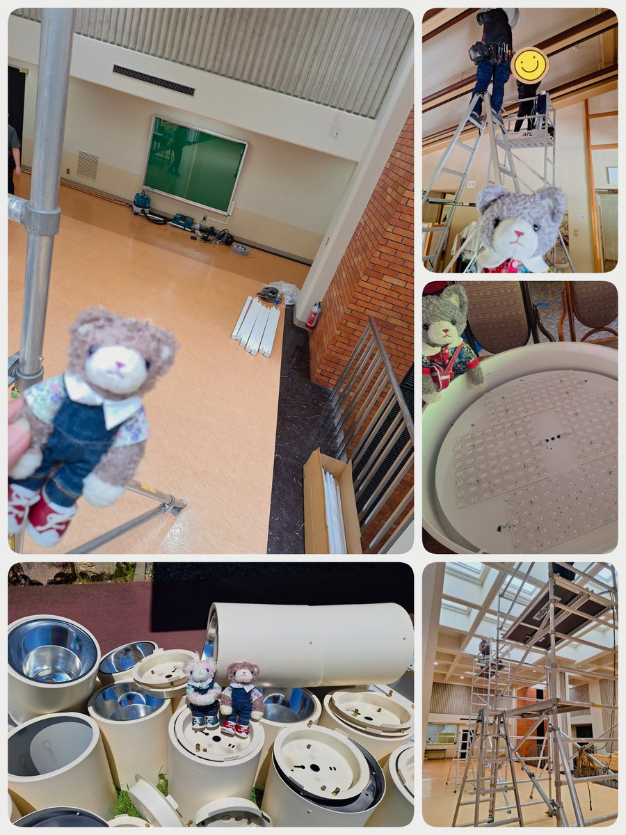 zero329_425's tweet photo. 最近の工事は高所ばかり…
今日からも

ミニアメちゃんのお写真は私目線(」 ･ω･)」三＝一☆毎回ビビりながら脚立のお世話になっております https://t.co/qSyHdF2M7h