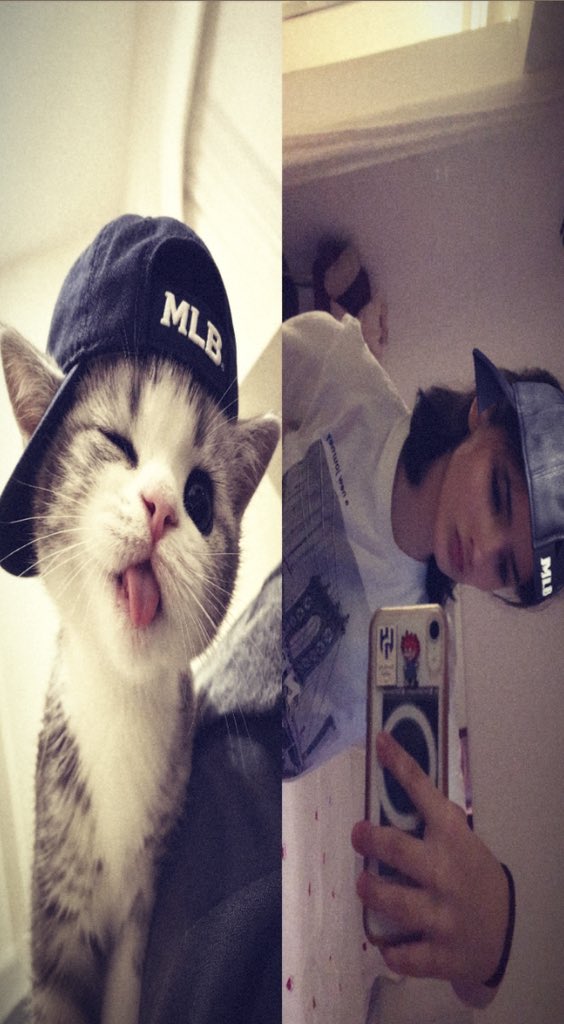 vcffo's tweet photo. Meow https://t.co/exAEhvI6v0